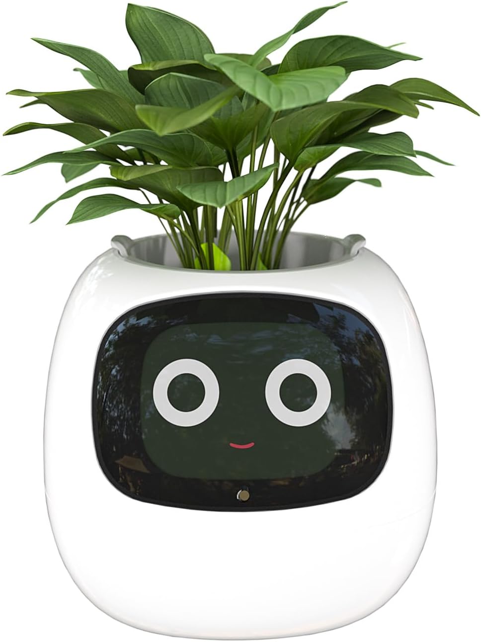 Smart Flowerpots, with Artificial Intelligence, Time Temperature Display وعاء زهور ذكي من ماسديو، مع ذكاء إصطناعي