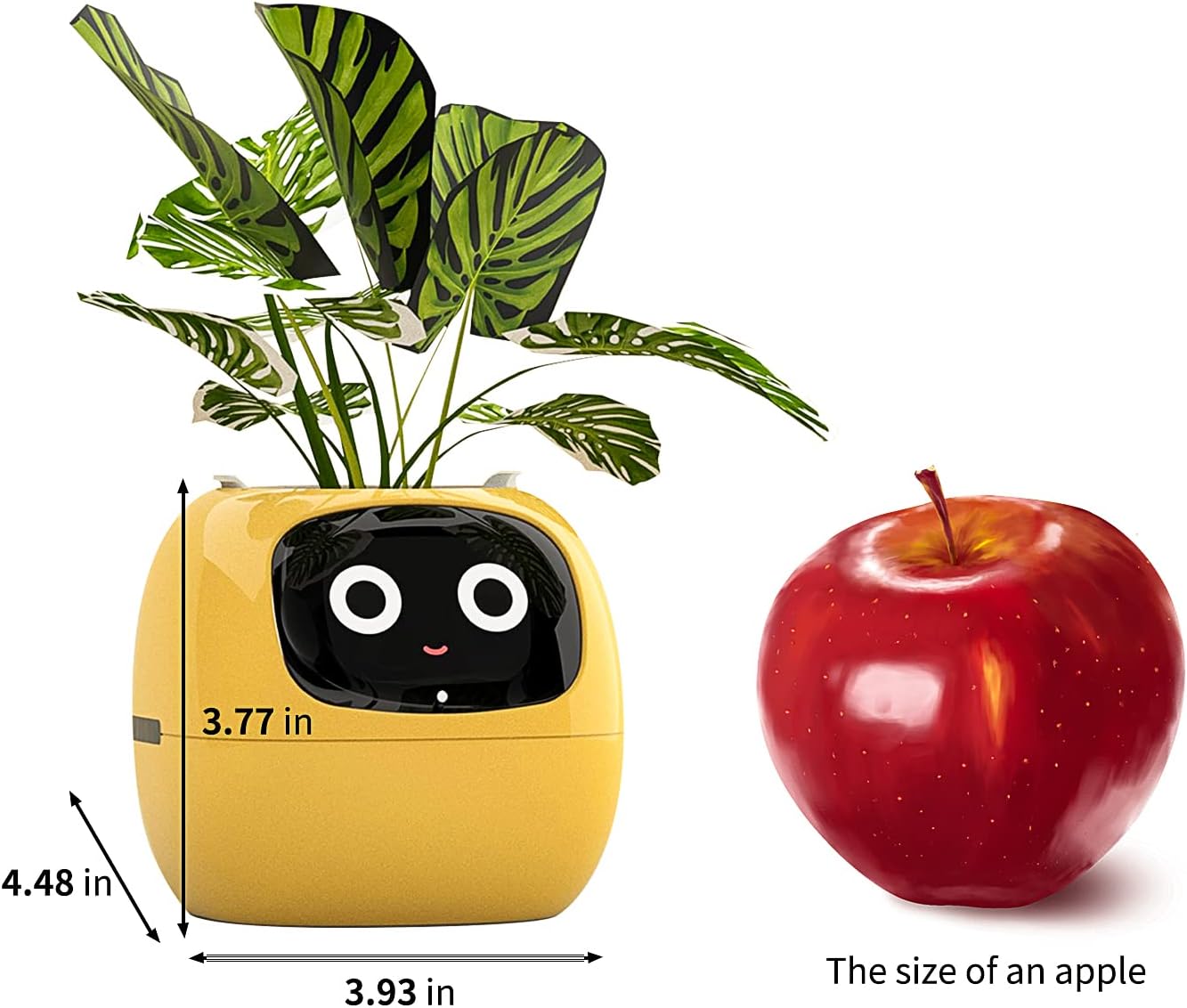Smart Flowerpots, with Artificial Intelligence, Time Temperature Display وعاء زهور ذكي من ماسديو، مع ذكاء إصطناعي