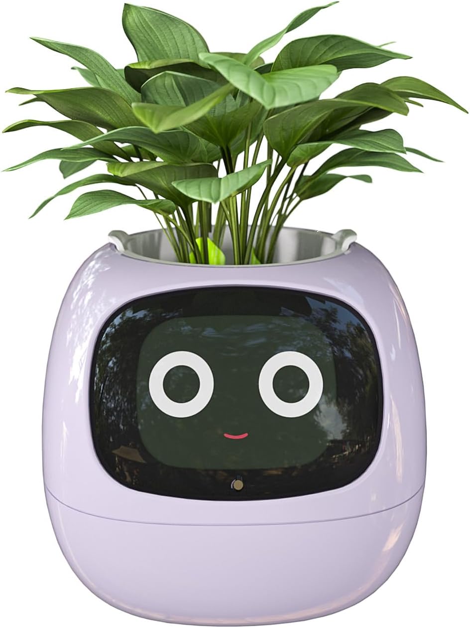 Smart Flowerpots, with Artificial Intelligence, Time Temperature Display وعاء زهور ذكي من ماسديو، مع ذكاء إصطناعي
