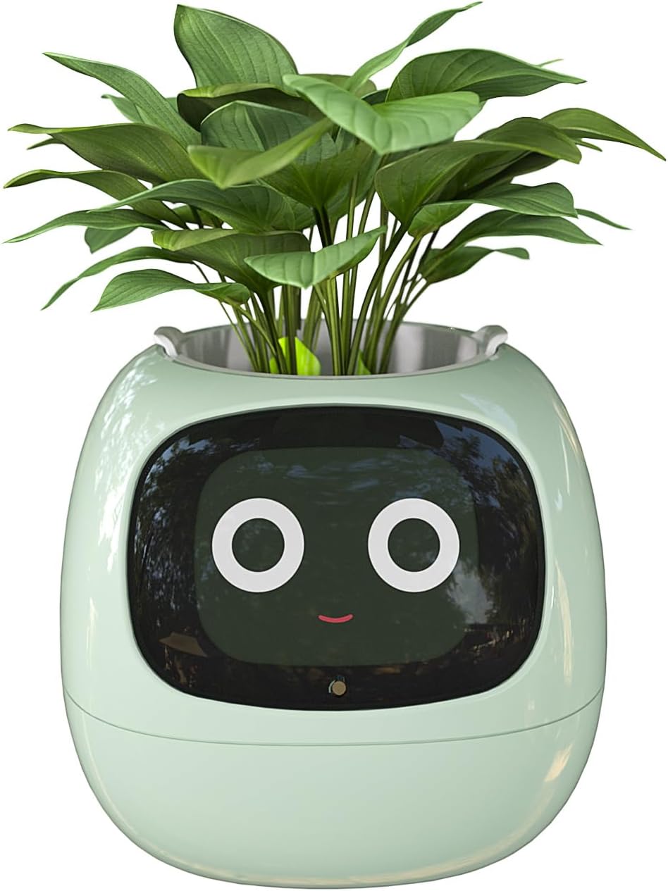 Smart Flowerpots, with Artificial Intelligence, Time Temperature Display وعاء زهور ذكي من ماسديو، مع ذكاء إصطناعي