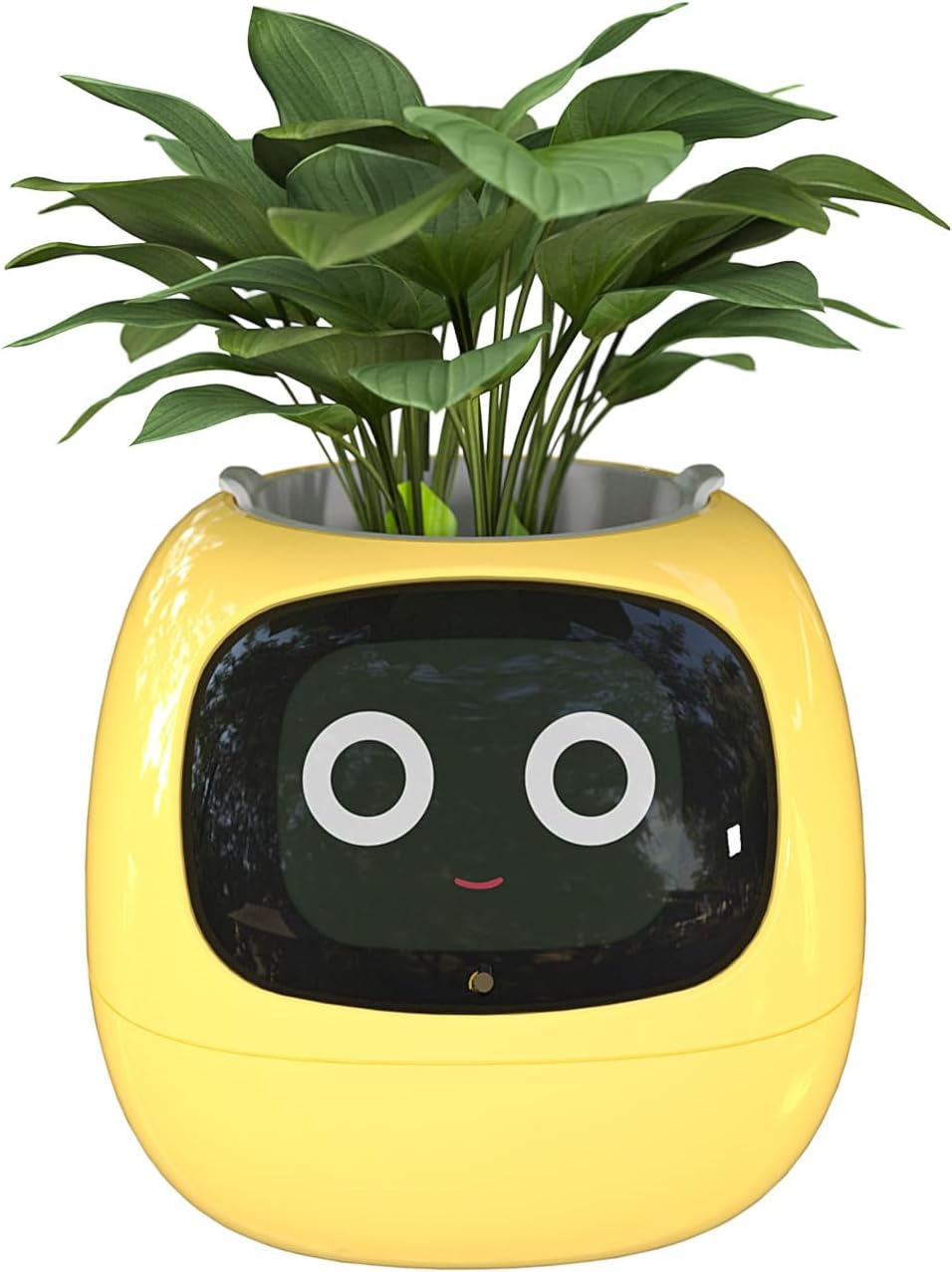 Smart Flowerpots, with Artificial Intelligence, Time Temperature Display وعاء زهور ذكي من ماسديو، مع ذكاء إصطناعي