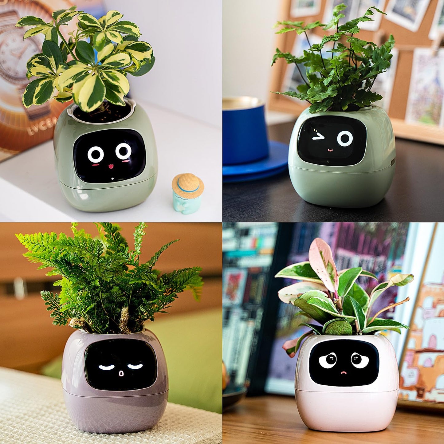 Smart Flowerpots, with Artificial Intelligence, Time Temperature Display وعاء زهور ذكي من ماسديو، مع ذكاء إصطناعي