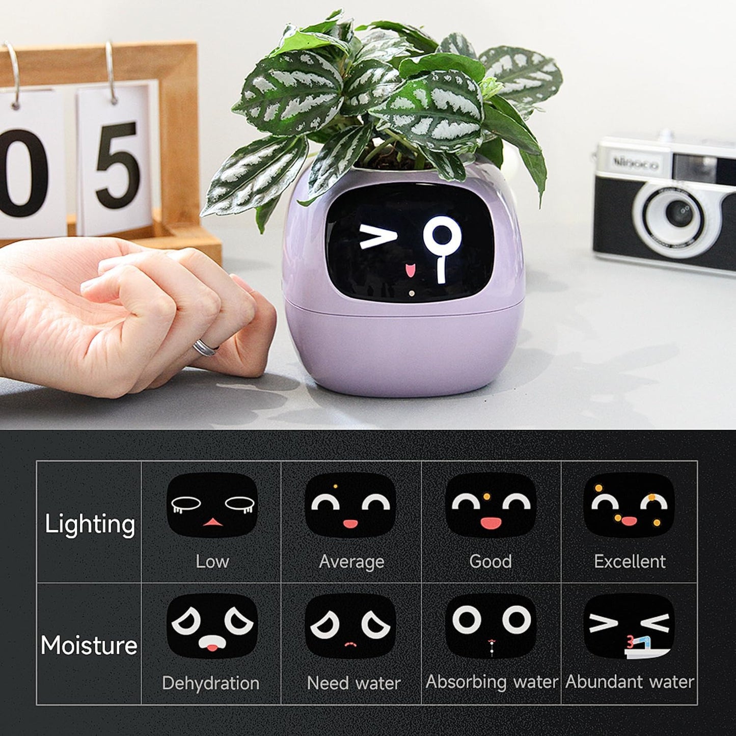 Smart Flowerpots, with Artificial Intelligence, Time Temperature Display وعاء زهور ذكي من ماسديو، مع ذكاء إصطناعي