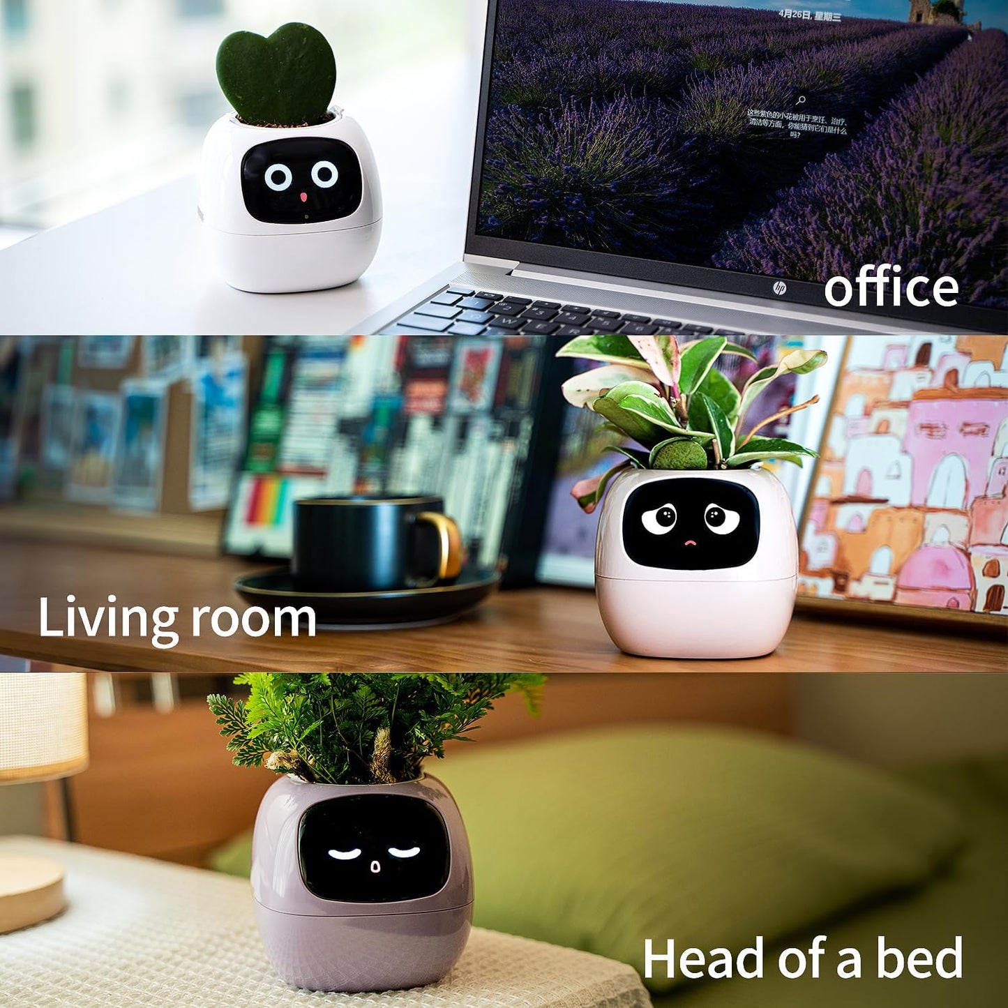 Smart Flowerpots, with Artificial Intelligence, Time Temperature Display وعاء زهور ذكي من ماسديو، مع ذكاء إصطناعي
